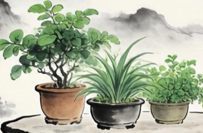 传承家风 守住信仰