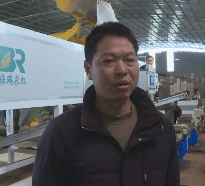 祁阳：智慧育秧“效率高” 春耕生产“成本低”