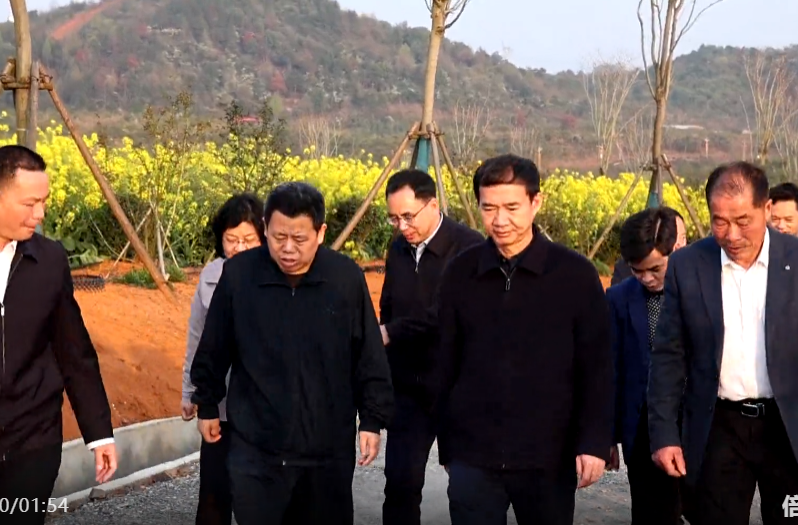 朱洪武在祁阳调研春耕生产工作时强调 不误农时全力抓好春耕生产 奋力推动农业增效农民增收