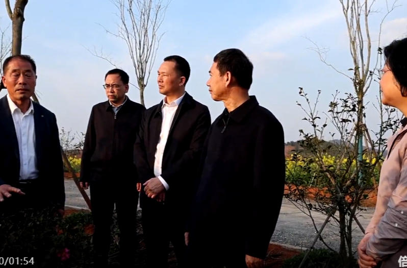 向子顺调研督导春耕生产工作