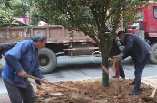 祁阳：春季补植添新绿 精细管护提“颜值”
