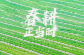 祁阳白水镇政协委员工作室：下沉一线助春耕 履职尽责保粮安
