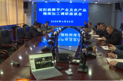 祁阳市召开槟榔芋产业及农产品精深加工调研座谈会