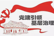 祁阳市政协中共界别组委员积极参与“一张网·祁心治”基层治理