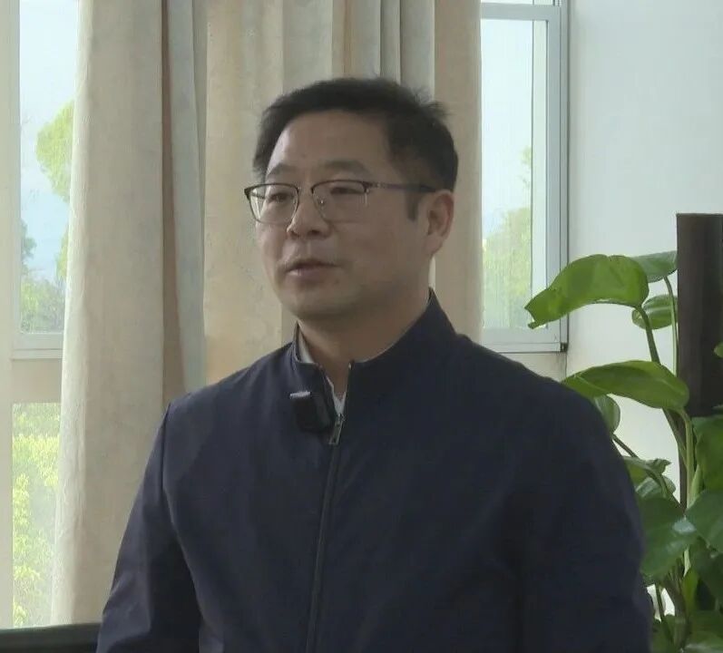 一张网·祁心治 一线见闻录丨乡友引智  专家“问诊”槟榔芋产业