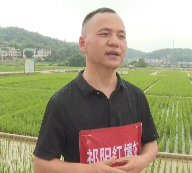 （全国科技工作者日）祁阳红壤实验站：水田展身手 躬耕悟初心