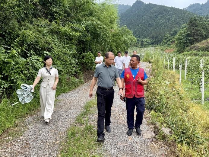 汪理科调研肖家镇科技助农工作