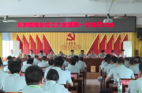 一张网・祁心治 | 一线见闻录——祁阳市肖家镇商会成立