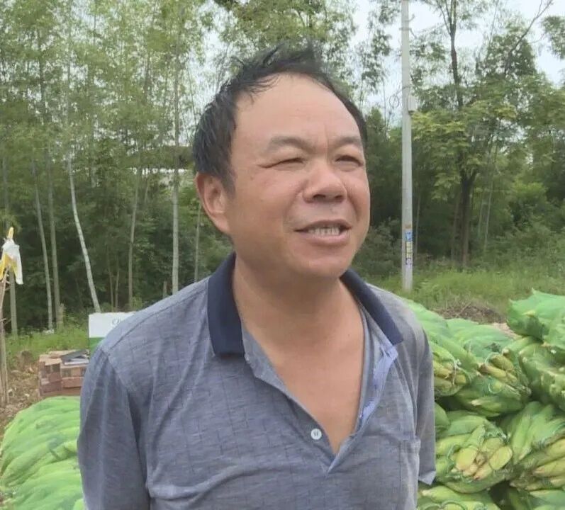 一张网・祁心治 | 一线见闻录——祁阳龚家坪镇：订单种下“甜玉米” 干旱走廊“甜”起来