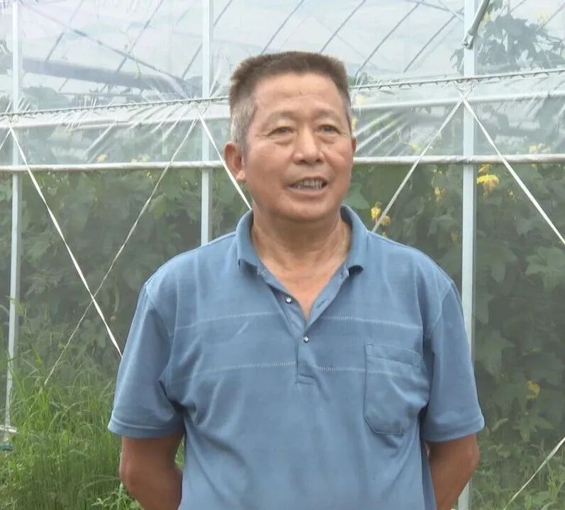祁阳：育秧大棚轮作忙 一棚多收效益高