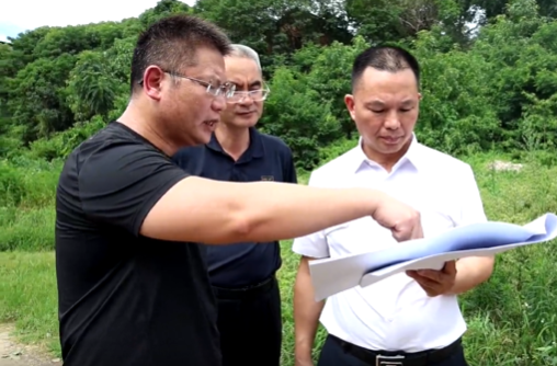 向子顺调研全市教育工作