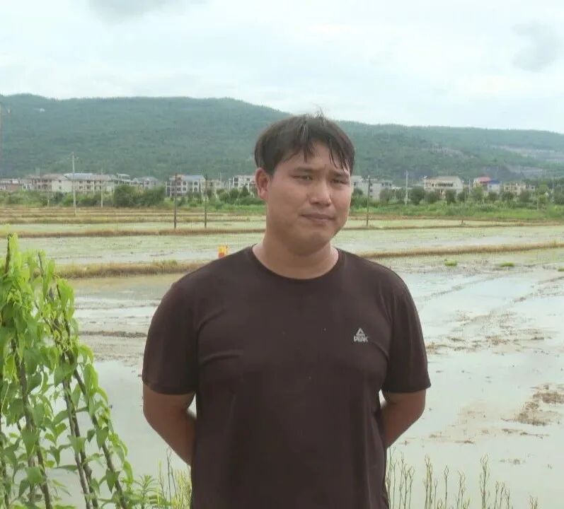 祁阳这五年·镇（街道）纪实 | 梅溪镇：深耕五载结硕果 湘江湾畔绽新颜