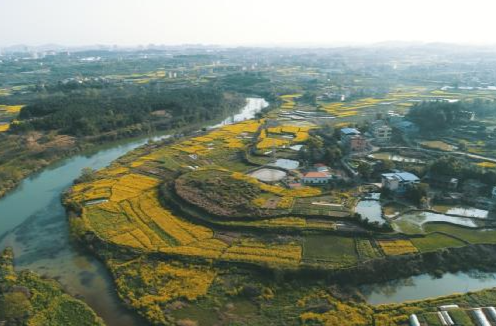 聚智赋能和美乡村 凝心助力全面振兴——祁阳市政协开展专题对口协商活动