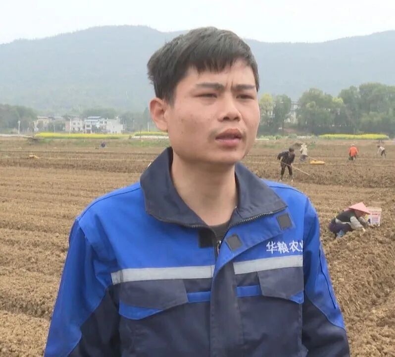 祁阳这五年·镇（街道）纪实 | 羊角塘镇：工农双轮驱动 实干铺就共富振兴路