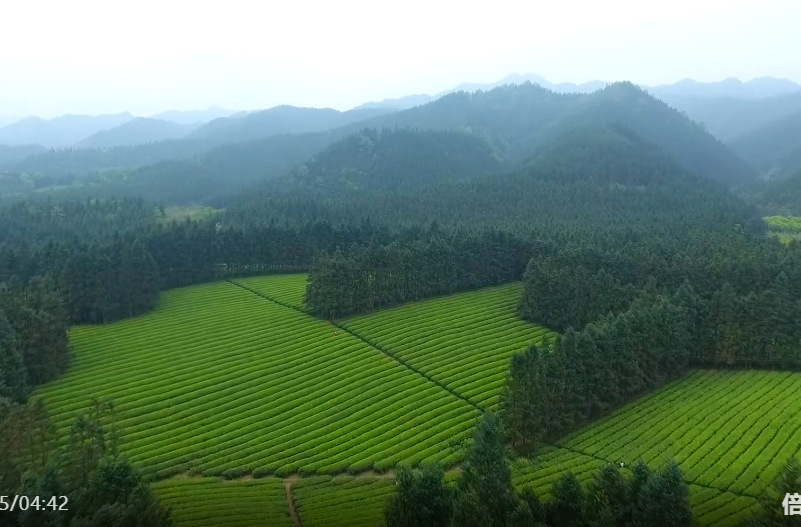 祁阳这五年·镇（街道）纪实 | 肖家镇：文旅融合绘就乡村振兴新画卷