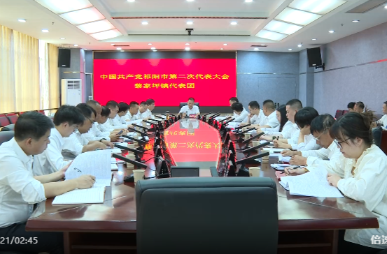 向子顺参加中国共产党祁阳市第二次代表大会黎家坪镇代表团讨论审议