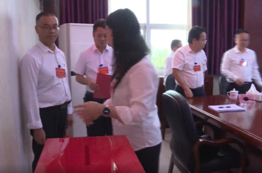聚焦党代会 奋进新征程 | 中国共产党祁阳市第二次代表大会举行分团预选