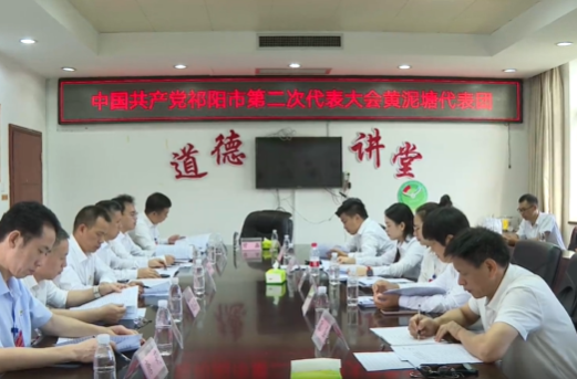 聚焦党代会 奋进新征程|祁阳市第二次党代会各代表团继续讨论审议