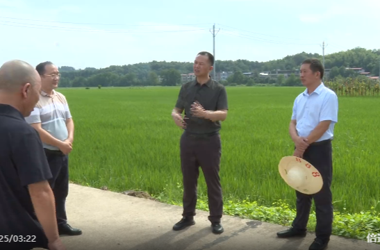 向子顺赴肖家镇调研督导重点工作