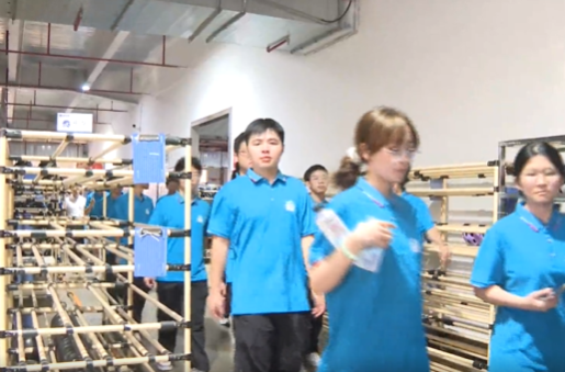 天南地北追梦路 不忘初心祁阳人 | 祁阳市2026届高中毕业生“青春与家乡”主题活动举行 283名学子品读家乡文脉 感受产业活力