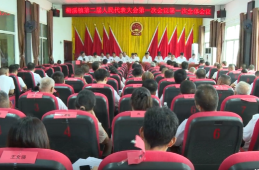祁阳市各镇召开第二届人民代表大会第一次会议
