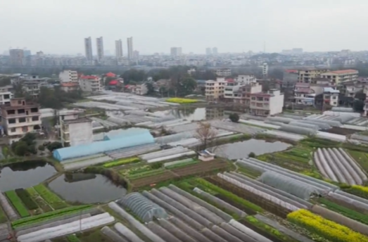 贯彻党代会 建功新祁阳 | 浯溪街道：为建设活力滨江新城贡献力量
