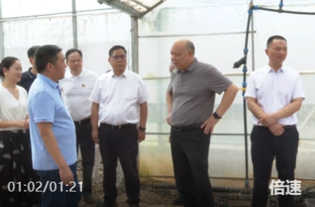 李建中在永州调研：深耕细作做好“农”字文章，用心用情书写乡村振兴新答卷