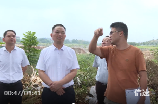 落实信访“321”工作机制 向子顺一线调研推进道路建设民生工程