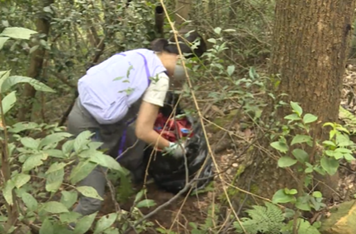 世界清洁日：祁阳志愿者洁净衡永古道 守护绿水青山