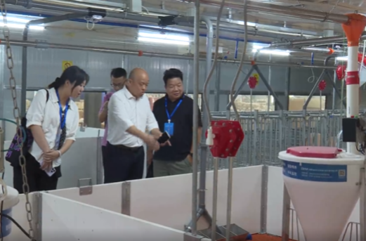 科技潇湘行（祁阳）：专家团队深入祁阳企业一线 为制造业智能化升级注入“智慧因子”