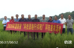 科技潇湘行（祁阳）：水稻专家送技到田间