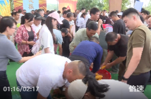 庆丰收 | 农趣竞技庆丰收 油茶飘香乐满场