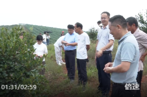 科技潇湘行（祁阳）：专家下沉油茶林 "田间课堂"助农增收