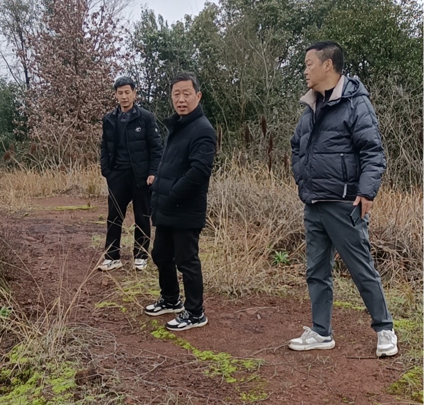 大忠桥镇：扎实开展石漠化造林 守护老百姓的绿水青山