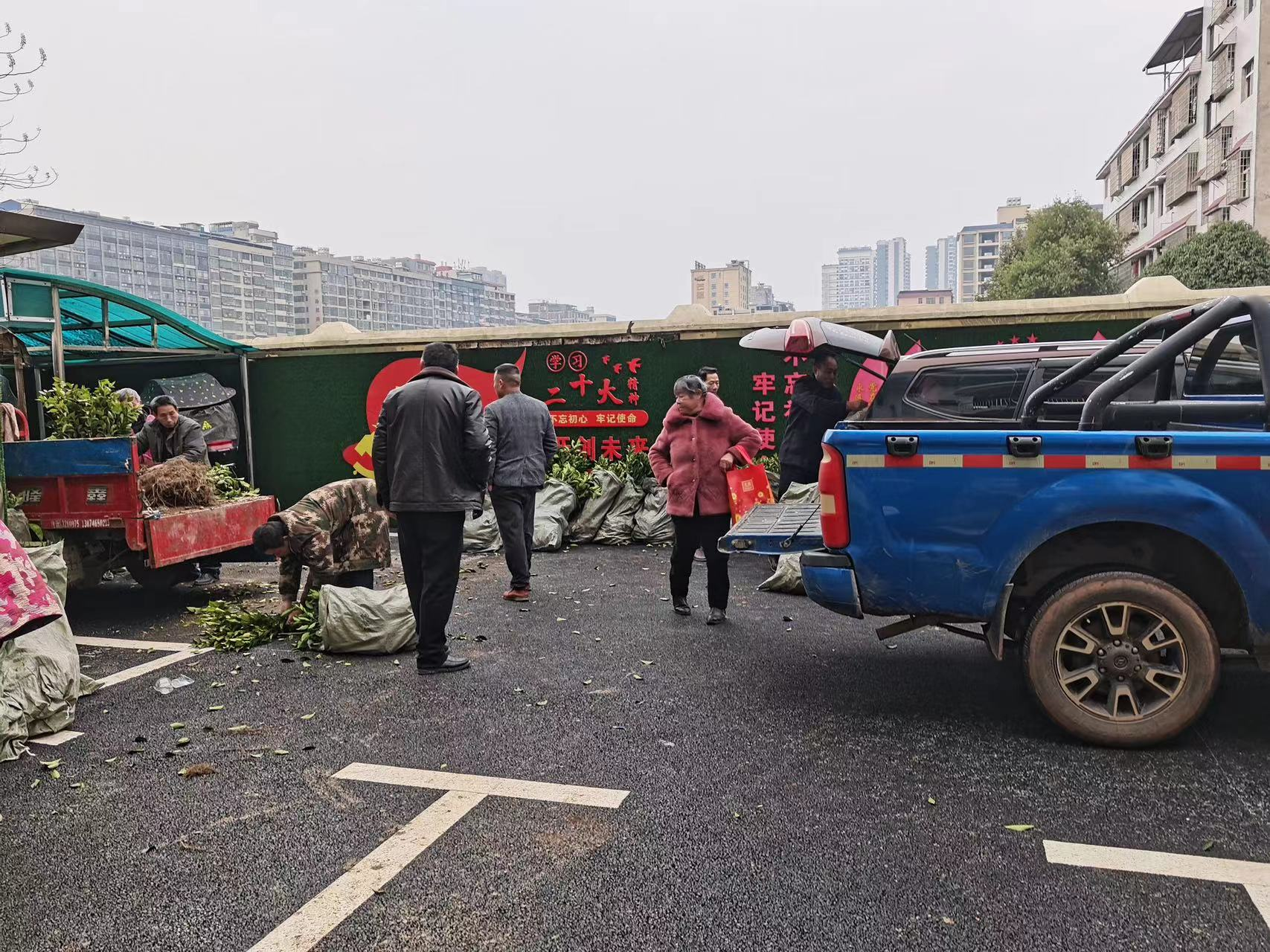 （文明新风在祁阳）祁阳市残联为残疾人朋友发放果树苗，助力创业