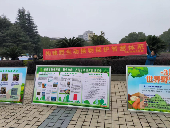 祁阳市林业局开展“世界野生动植物日”宣传活动