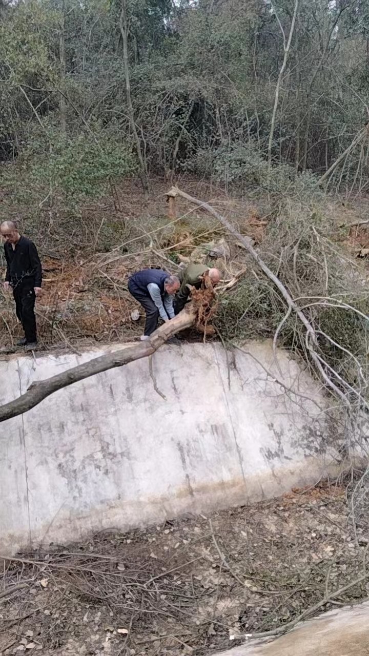 龙江桥水库：抓安全，促生产，展开生产前大排查
