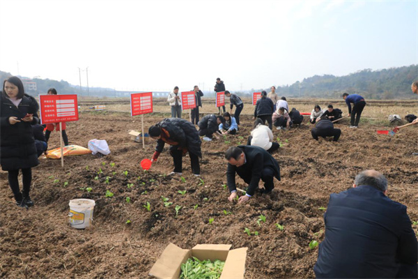 祁阳市委组织部：做实平时考核 激励担当善为