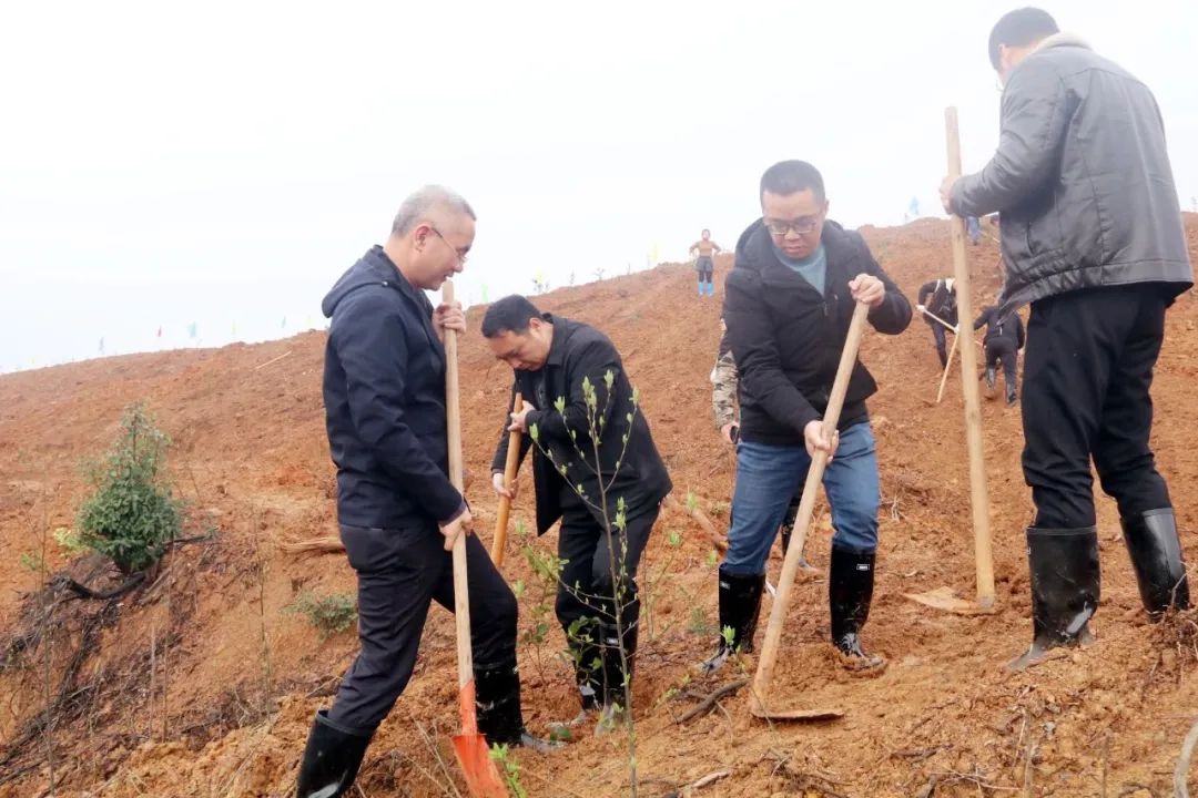 祁阳市教育局 组织参加义务植树活动
