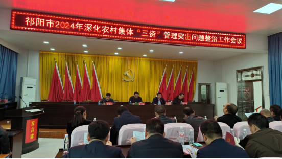 祁阳市召开深化农村集体“三资”管理突出问题整治工作会