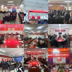 祁阳市贯彻落实湖南省第3号总林长令  全面开展义务植树活动