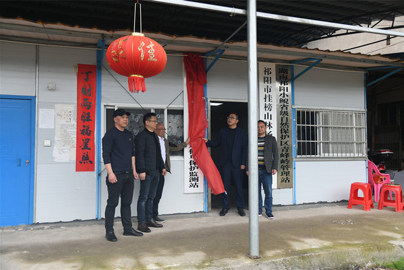 挂榜山林场：湖南祁阳小鲵省级自然保护区云仙观候鸟保护监测站正式揭牌