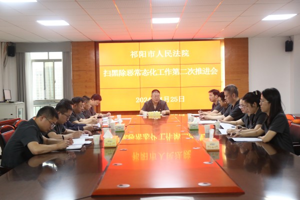 祁阳市法院召开2024年常态化扫黑除恶第二次推进会