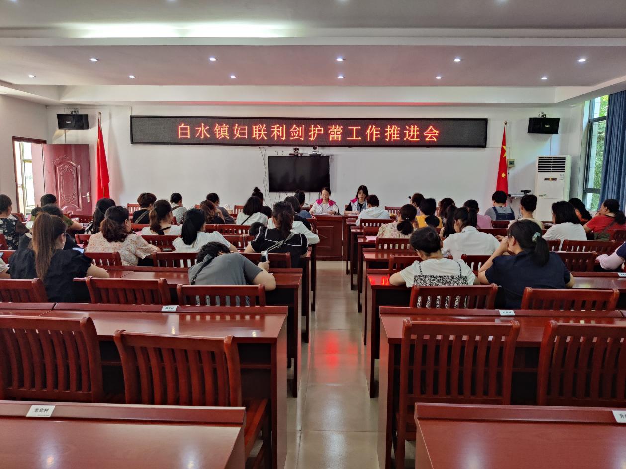白水镇组织召开妇联工作会