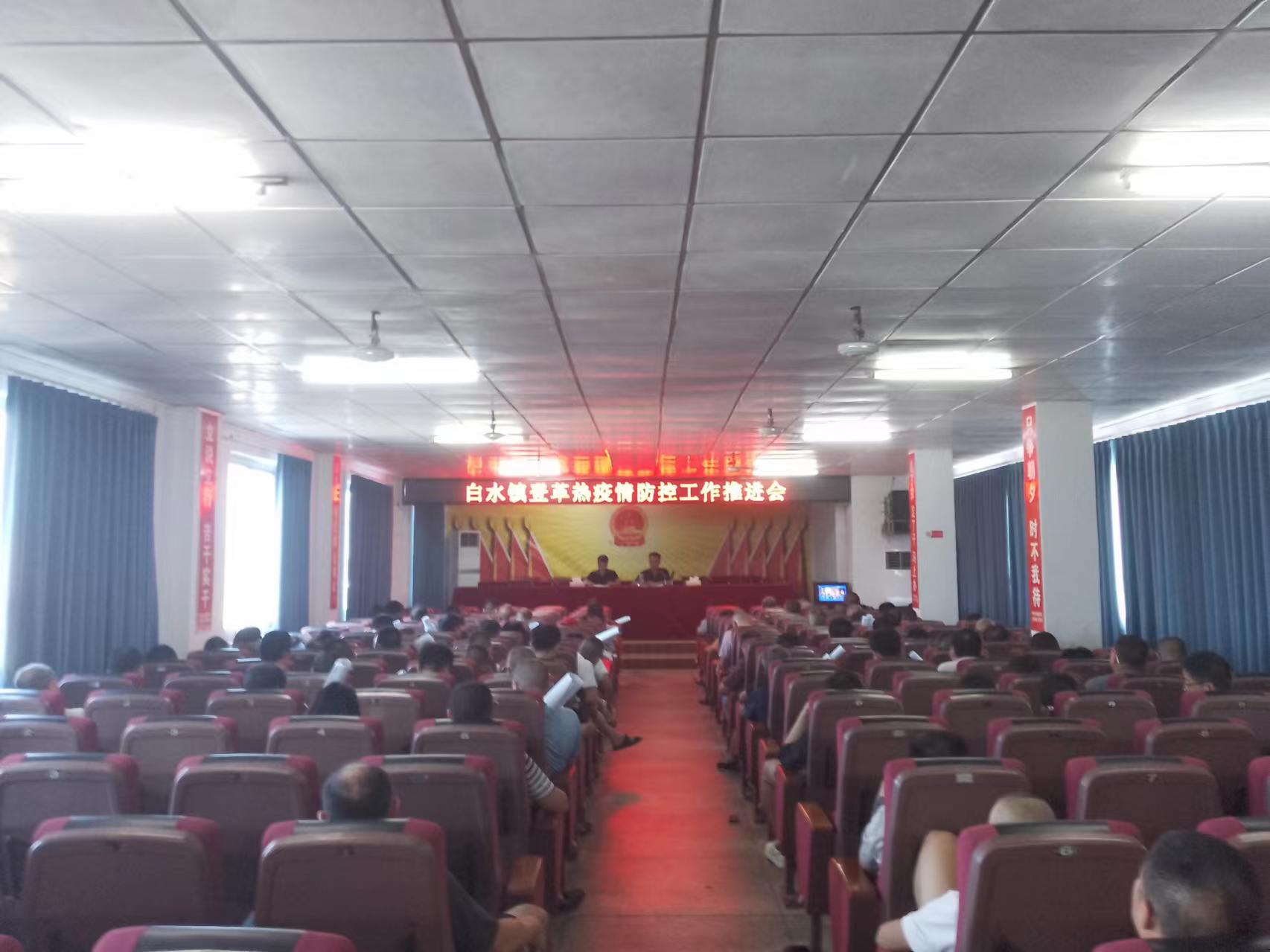 白水镇：多措并举推进登革热防控工作