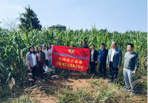 祁阳市政协在进宝塘镇开展秸秆综合利用和焚烧管理专项民主监督活动