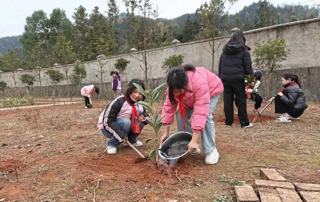 汪家完小：一起“趣”植树 共筑绿色梦