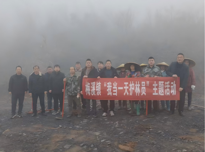 梅溪镇：多举并施守护森林资源