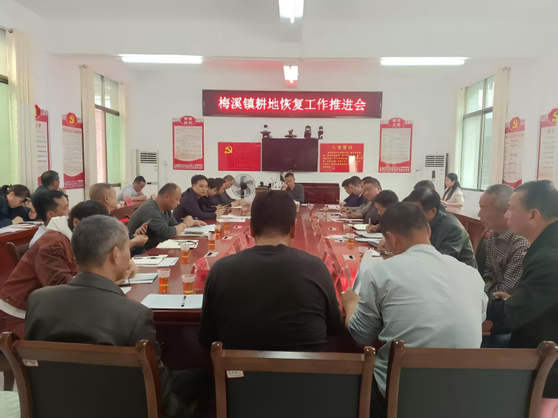 梅溪镇：全力推进耕地恢复  筑牢粮食安全“耕基”