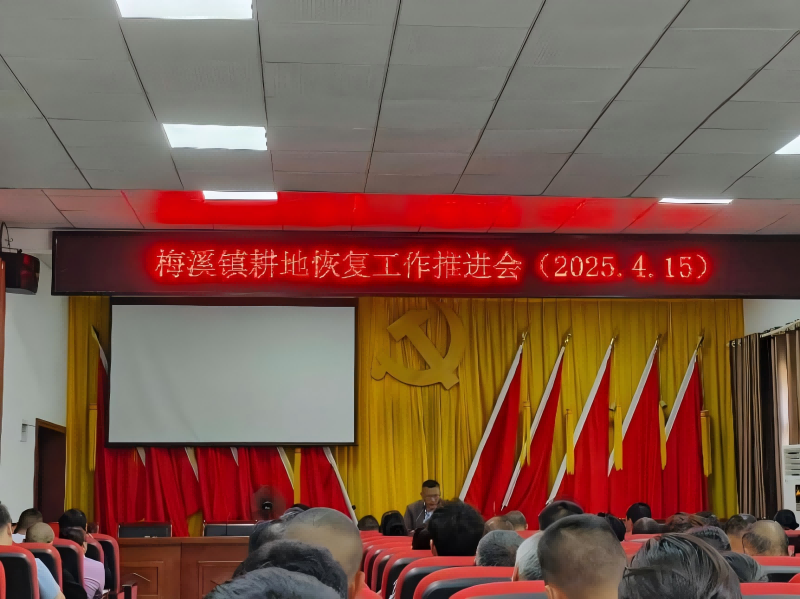 祁阳市梅溪镇：全力以“复”，扎实推进耕地恢复工作